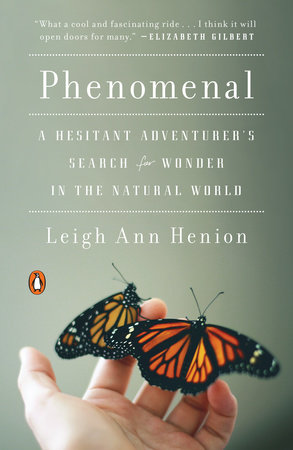 Henion Phenomenal Book cover