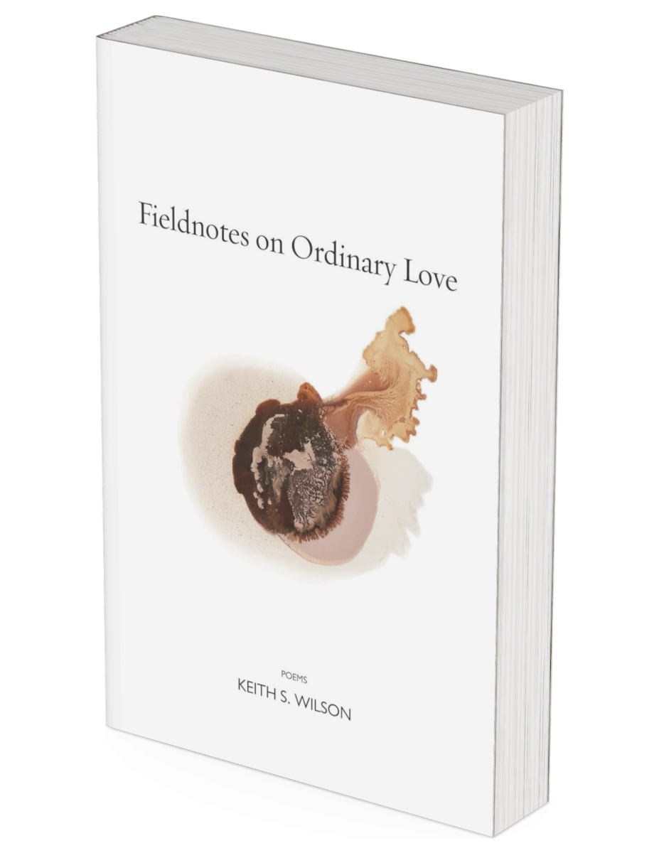 Fieldnotes on Ordinary Love Book Cover