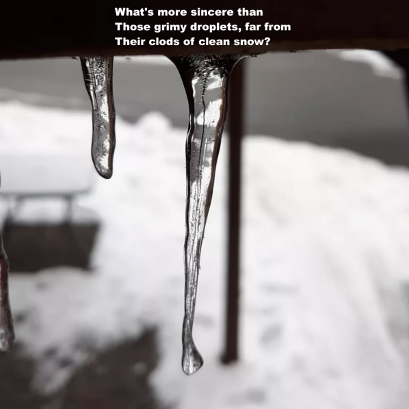 Photo of icicle melting with text: What's more sincere than Those grimy droplets, far from Their clods of clean snow?