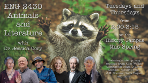 Course poster for ENG 2430, Animals and Literature, with Dr. Jessica Cory, Tuesdays and Thursdays 2:00-3:15 on the Hickory Campus: a raccoon with raised paws above portraits of Alice Walker, Christopher Rowe, J. Drew Lanham, Nickole Brown, J.M. Coetzee and Linda Hogan.