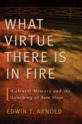 What Virtue There Is in Fire book cover