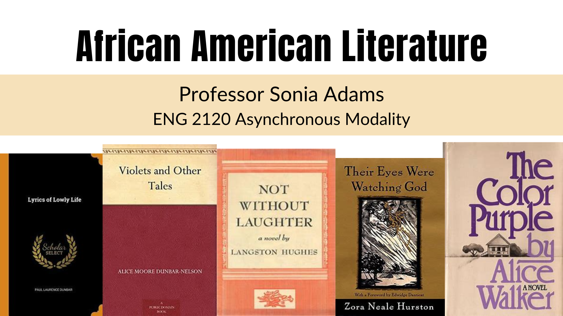 A History of the African American Novel