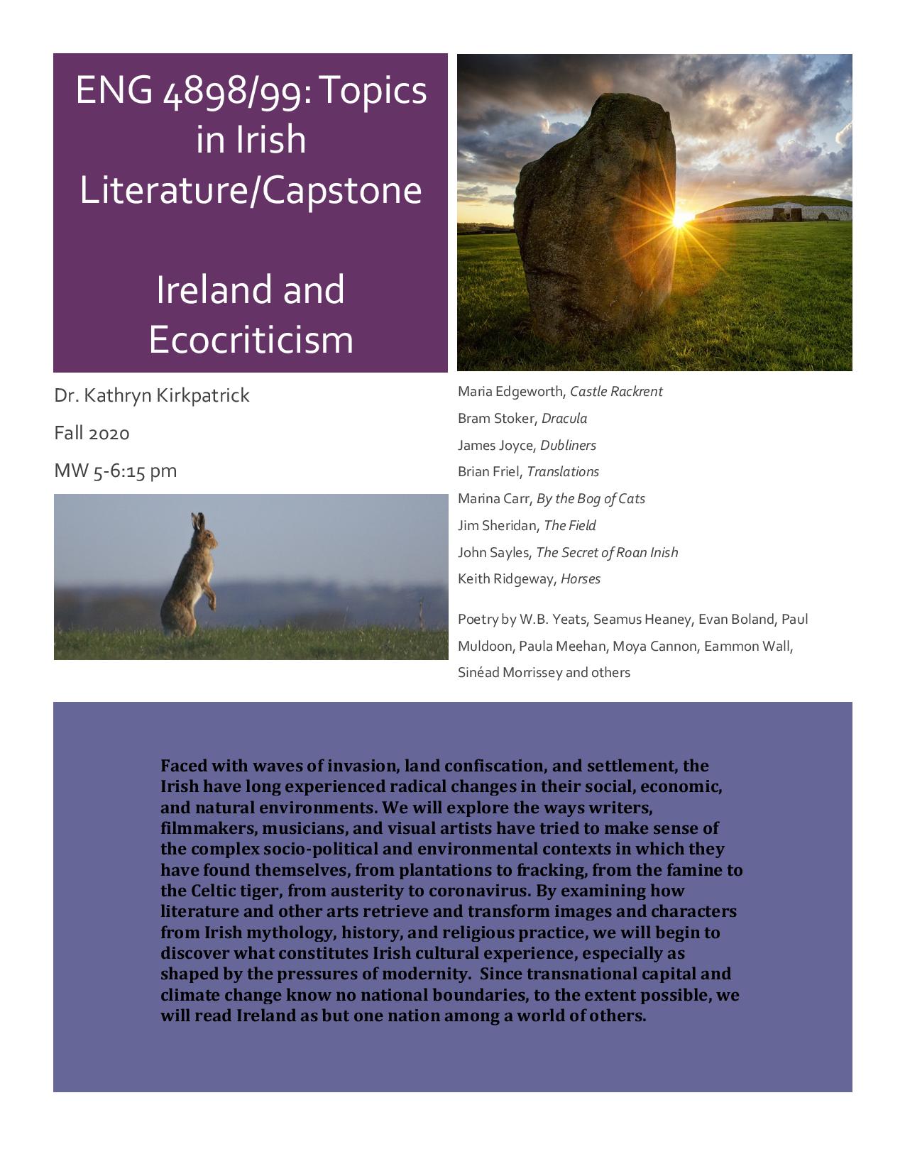 research topics for irish literature